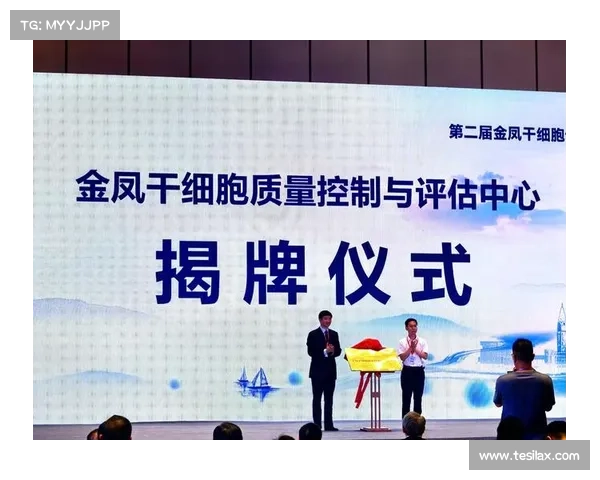 如何科学评估科尔多巴后卫表现与能力等级的标准与方法