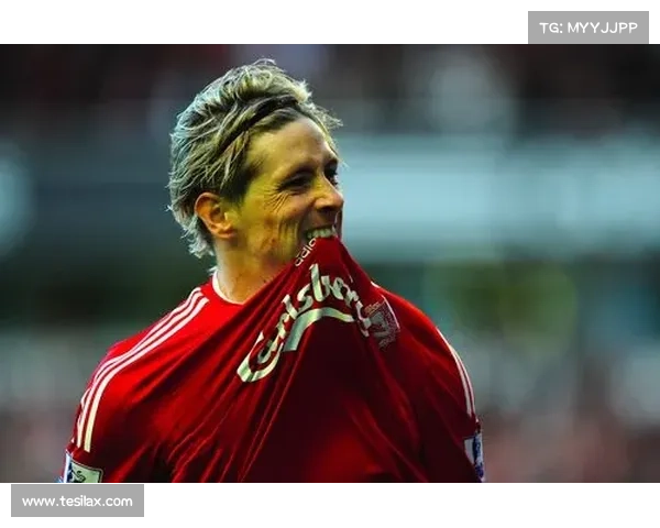 托雷斯的经典绰号解析及其在足球界的影响力探讨