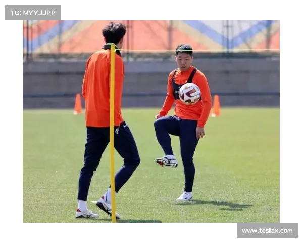 提升山东泰山体能储备的三种有效方法探索与实践